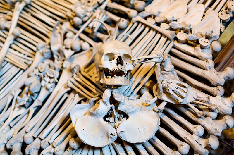 Ancient human skull and bone decoration in Sedlec Ossuary