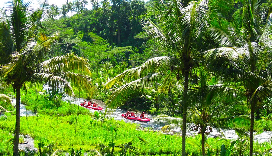White-water rafting on Ayung River in Bali